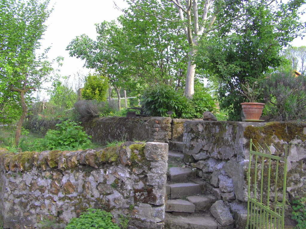 לינה וארוחת בוקר Iguerande Fenetre Sur Loire חדר תמונה