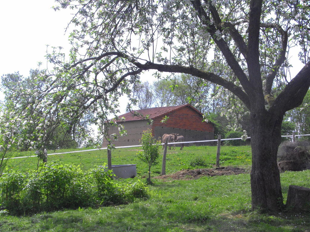 לינה וארוחת בוקר Iguerande Fenetre Sur Loire מראה חיצוני תמונה